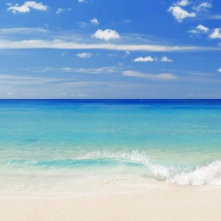 Best Location With Ocean View, Short Walk To Beach, Perfect Spot For Your Beach Vacation! Destin Dış mekan fotoğraf